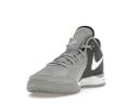 Nike Zoom LeBron NXXT Gen Wolf Grey Metallic Gold