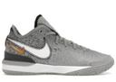Nike Zoom LeBron NXXT Gen Wolf Grey Metallic Gold