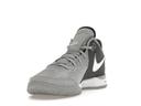 Nike Zoom LeBron NXXT Gen Wolf Grey Metallic Gold