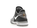 Nike Zoom LeBron NXXT Gen Wolf Grey Metallic Gold