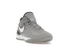 Nike Zoom LeBron NXXT Gen Wolf Grey Metallic Gold