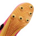 Nike Zoom Rival Athletics Multi-Event Spikes - Pink