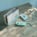 Nintendo Switch - Animal Crossing: New Horizons Edition - Switch