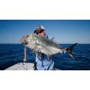 Nomad Panderra Light 8x Braid 150m - 6lb