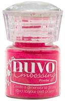 Nuvo Embossing Powder Strawberry Slush