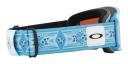 Oakley 2022 Line Miner L Goggles