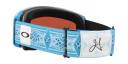 Oakley 2022 Line Miner L Goggles