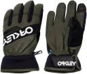 Oakley Factory Winter Snow Gloves 2.0 - New Dark Brush/White - 2023
