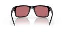 Oakley Holbrook Sunglasses - Matte Black With Prizm Dark Golf Lenses