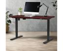 Oikiture Standing Desk Height Adjustable Electric Motorised Office Stand Table