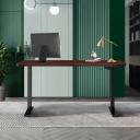 Oikiture Standing Desk Height Adjustable Electric Motorised Office Stand Table