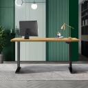 Oikiture Standing Desk Height Adjustable Electric Motorised Office Stand Table