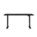 Oikiture Standing Desk Height Adjustable Motorised Electric Sit Stand
