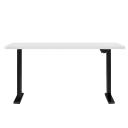 Oikiture Standing Desk Height Adjustable Motorised Electric Sit Stand