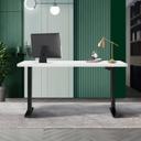 Oikiture Standing Desk Height Adjustable Motorised Electric Sit Stand