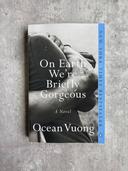 On Earth We're Briefly Gorgeous: A Novel [Book]