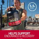 Optimum Nutrition Gold Standard 100% Whey Protein Powder, Chocolate Coconut, 5 Pound