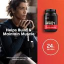 Optimum Nutrition Gold Standard 100% Whey Protein Powder, Strawberry & Cream, 2 Pound