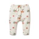 Organic Legging So Peachy / Organic Cotton / 18 to 24 Months | Wilson + Frenchy