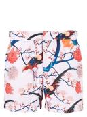 Orlebar Brown Setter graphic-print Swim Shorts - Pink