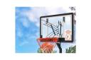 Outdoor Adjustable Basketball Hoop System