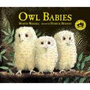 Owl Babies [Book]