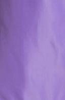 Palm Angels Curved Logo Swim Shorts Purple