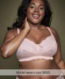 Panache Andorra Wirefree Full Cup Bra - Soft Blush - 14H Soft Blush