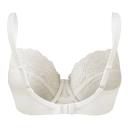 Panache Envy Balconette Bra Ivory / 36F