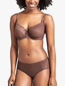 Panache Envy Full Cup Bra Chestnut 16G