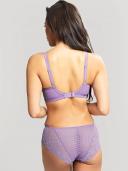 Panache Envy Full Cup Bra Violet 10JJ