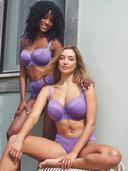 Panache Envy Full Cup Underwire Bra - Violet - 10E Violet