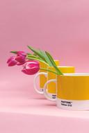 Pantone Tea Cup Black 419