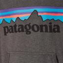 Patagonia Kid's Light Weight Graphic Hoody Sweatshirt