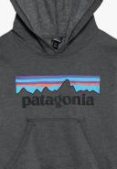 Patagonia Kid's Light Weight Graphic Hoody Sweatshirt