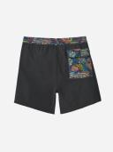 Patagonia Men's Hydropeak Volley Shorts - 16 in. - Hobson Spaced: Sumac Red / M