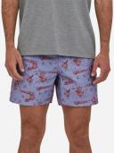Patagonia Men's Hydropeak Volley Shorts - 16 in. - Hobson Spaced: Sumac Red / S
