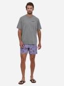 Patagonia Men's Hydropeak Volley Shorts - 16 in. - Hobson Spaced: Sumac Red / S