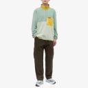 Patagonia Men's Microdini 1/2-Zip Pullover - Salvia Green / XS