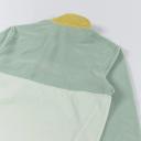 Patagonia Men's Microdini 1/2-Zip Pullover - Salvia Green / XS