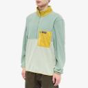 Patagonia Men's Microdini 1/2-Zip Pullover - Salvia Green / XS