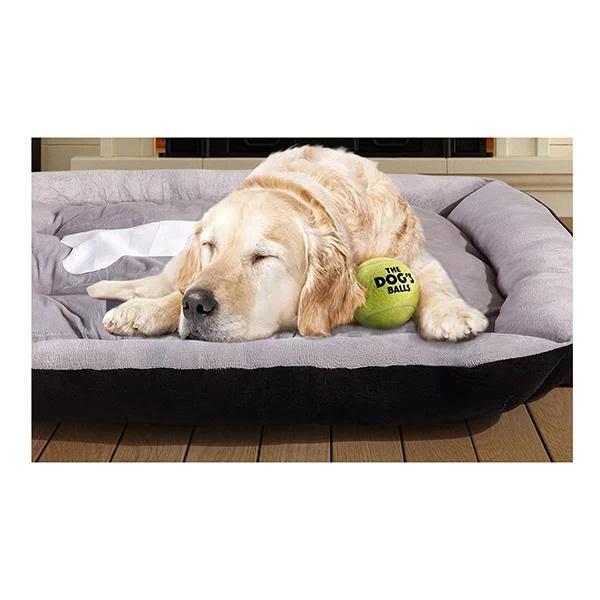 PaWz Heavy Duty Pet Bed Mattress in Size Large