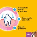 Pedigree Dentastix for Medium Dogs