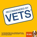 Pedigree Dentastix for Medium Dogs