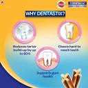 Pedigree Dentastix for Medium Dogs