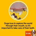 Pedigree Dentastix for Medium Dogs