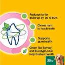Pedigree Dentastix Fresh Daily Dental Chews Large Dog 4 Sticks