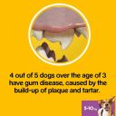 Pedigree Dentastix Fresh Small Dog 5-10 kg 7