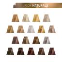 Permanent Dye Color Touch Wella No 8/3 (60 ml) (60 ml)