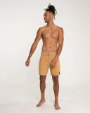 Phantom Naturals Tailgate 18" Hurley Mens Boardshort Earthstone